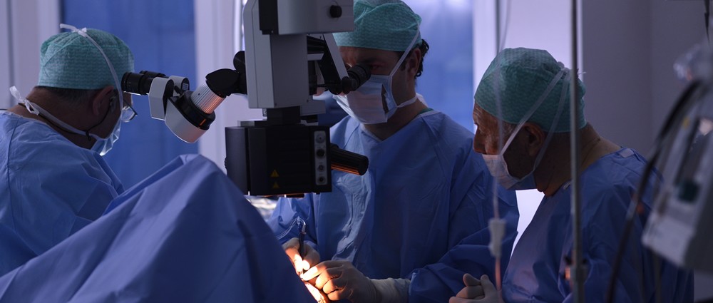 retina-del-ojo