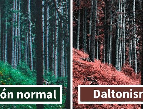 daltonismo
