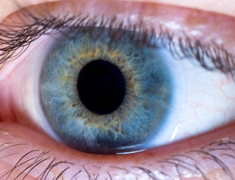 retinopatía diabética
